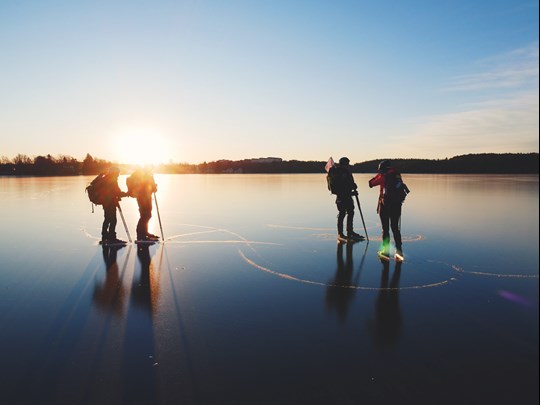Bild på fyra personer på is med långfärdsskridskor.