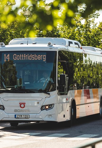 Östgötatrafiken bussar i somrig miljö