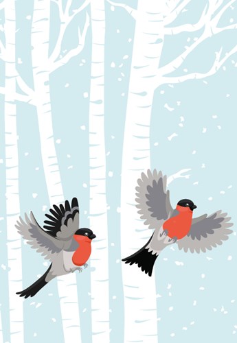 Tre fåglar som flyger framför en björkskog på vintern - illustration